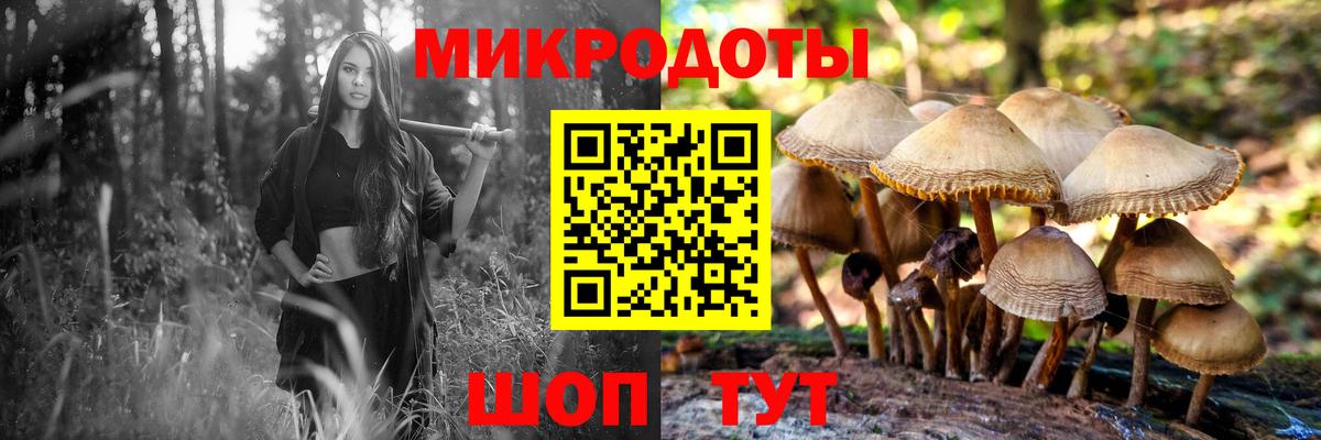 Галлюциногенные грибы Psilocybe Учалы